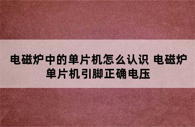 电磁炉中的单片机怎么认识 电磁炉单片机引脚正确电压